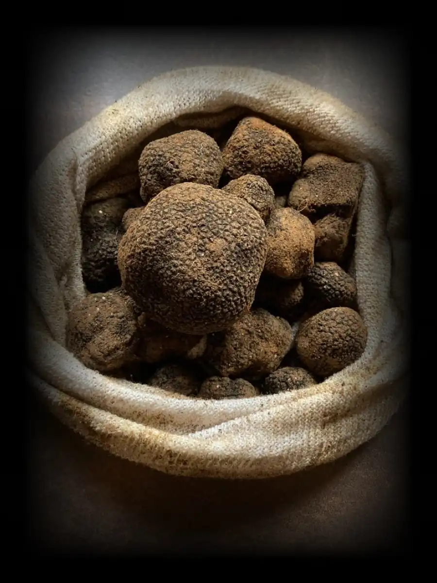 truffle