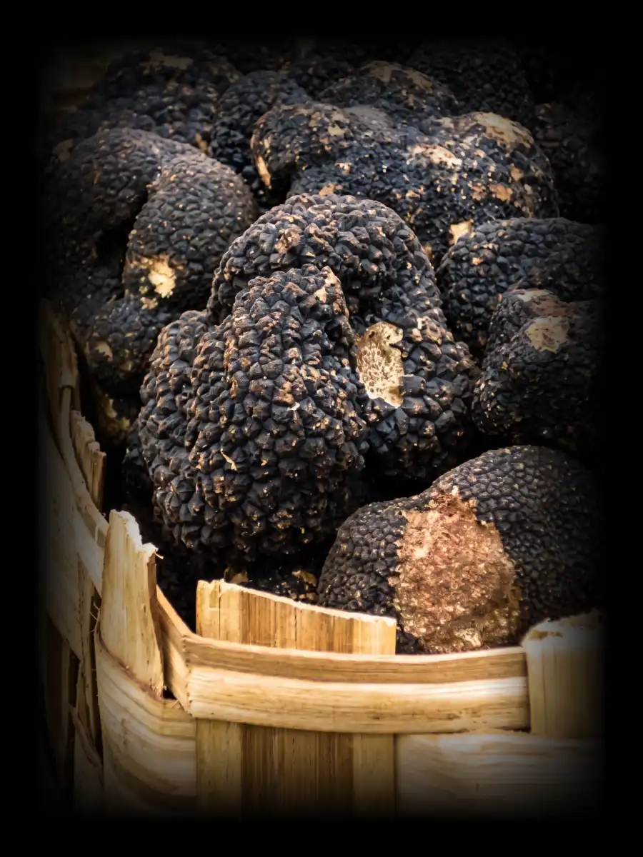 truffle